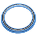 Spring Energized Peek Seals for Cylinder From China Factory